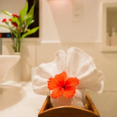 Отель Hoi An Ancient House Resort And Spa 4* Стандартный номер с различными типами кроватей фото 7