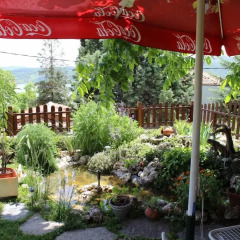 Отель Stoyanova House Болгария, Ардино - отзывы, цены и фото номеров - забронировать отель Stoyanova House онлайн фото 6