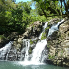 Отель Maravu Taveuni Lodge Фиджи, Остров Тавеуни - отзывы, цены и фото номеров - забронировать отель Maravu Taveuni Lodge онлайн бассейн фото 3