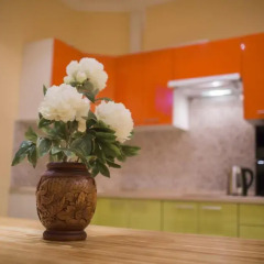 Crazy Dog Hostel в номере фото 2