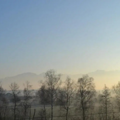 Отель kommod фото 5