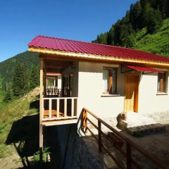 Ayder Cise Dag Evleri Шале с различными типами кроватей фото 44