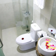 Отель Hoi An Golden Horse Villa 2* Номер Делюкс с различными типами кроватей фото 9