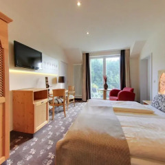 Отель Akzent Waldhotel Rheingau 4* Номер Комфорт с различными типами кроватей фото 10