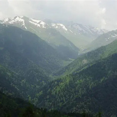Отель Pokut Doğa Konukevi фото 11