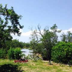 Отель Tirina's Writer's Retreat