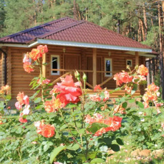 Княжья Речка база отдыха фото 2