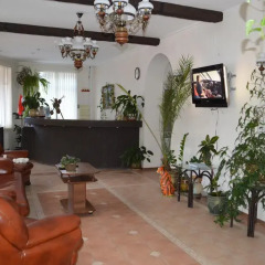 Гостиница Uyutnaya Villa Hostel в Красной Поляне отзывы, цены и фото номеров - забронировать гостиницу Uyutnaya Villa Hostel онлайн Красная Поляна интерьер отеля