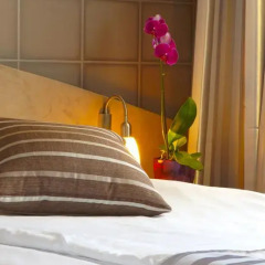 Triada Hotel 4* Стандартный номер с различными типами кроватей фото 11