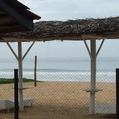 Отель Thiranagama Beach Hotel Шри-Ланка, Хиккадува - отзывы, цены и фото номеров - забронировать отель Thiranagama Beach Hotel онлайн приотельная территория