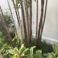 Sirin Hotel Hua Hin