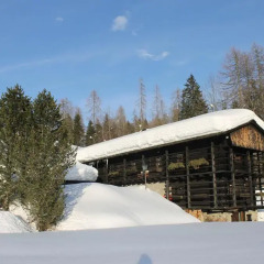 Отель Chalet Rikheland Италия, Саурис - отзывы, цены и фото номеров - забронировать отель Chalet Rikheland онлайн приотельная территория фото 2