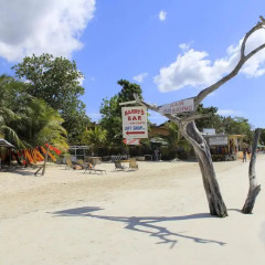 Отель Pure Garden Resort Negril пляж фото 2