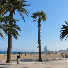 Отель Barceloneta Studios Барселона пляж
