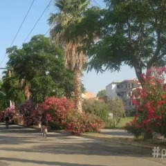 Отель Casa Anna Италия, Монтезильвано - отзывы, цены и фото номеров - забронировать отель Casa Anna онлайн фото 4