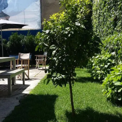 Garden House Hostel