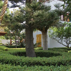 Отель Villa Alfano Поццалло фото 16