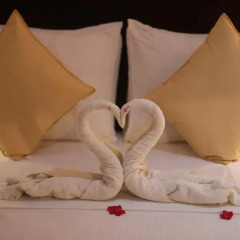 Opulent River Face Hotel детские мероприятия
