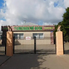 Hostel Tambovsky Volk парковка