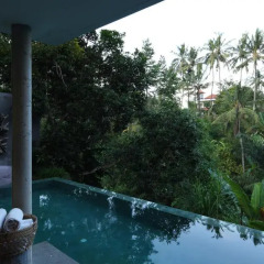 Отель Aria Villas Ubud бассейн фото 2