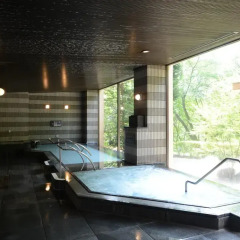Hotel Harvest Kinugawa Никко бассейн фото 3