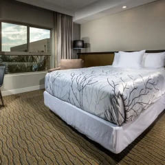 Aventura Hotel 3* Стандартный номер с двуспальной кроватью фото 2