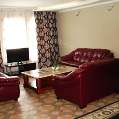 Апартаменты Chernivtsi Apartments Апартаменты 2 отдельными кровати фото 6