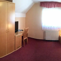 Отель Guesthouse Aleš 3* Стандартный номер с различными типами кроватей фото 7