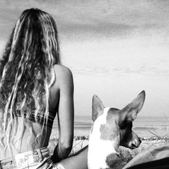 Отель Surf Camp Wolf House спортивное сооружение