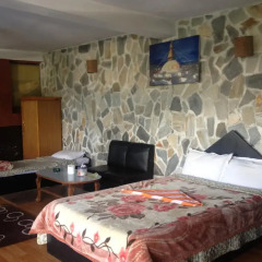 Отель Snow View Mountain Resort Непал, Дхуликхел - отзывы, цены и фото номеров - забронировать отель Snow View Mountain Resort онлайн комната для гостей фото 2