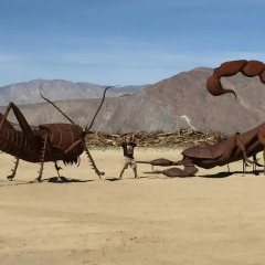 Отель Borrego Springs Resort and Spa фото 7