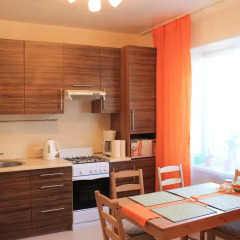 Гостиница Apartamenti na Vladimirskoy 7A в Пскове отзывы, цены и фото номеров - забронировать гостиницу Apartamenti na Vladimirskoy 7A онлайн Псков в номере