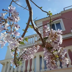 Отель Villa Marku Soanna Ксамил помещение для мероприятий