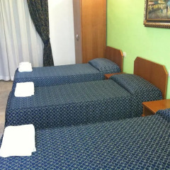 Hotel Aurelia 2* Стандартный номер с различными типами кроватей фото 10