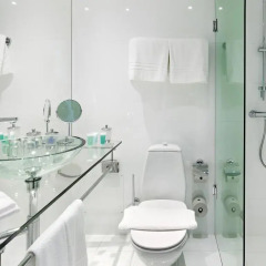 Hotel Riverton 4* Улучшенный номер с различными типами кроватей фото 5