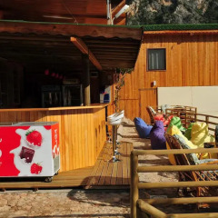 Отель Tree Houses развлечения