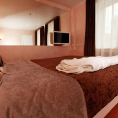 Гостиница Delight 3* Номер Комфорт с разными типами кроватей фото 8