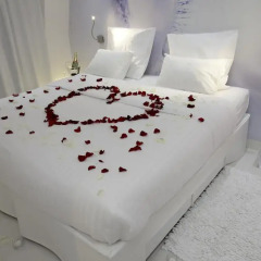 BLC Design Hotel 3* Номер Делюкс с различными типами кроватей фото 4