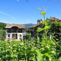 Отель Weidlhof B&B Кальдаро-сулла-Страда-дель-Вино
