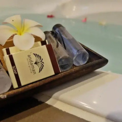 Отель Ananda Lanta Resort 4* Номер Делюкс фото 25