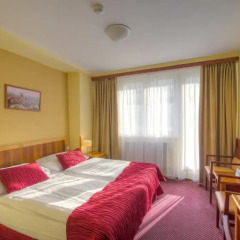 Wellness Hotel Step 4* Номер Делюкс с разными типами кроватей фото 3