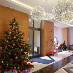 Гостиница Novotel Resort Krasnaya Polyana Sochi интерьер отеля фото 2