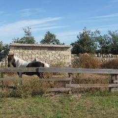 Отель Masseria Copertini Верноле приотельная территория
