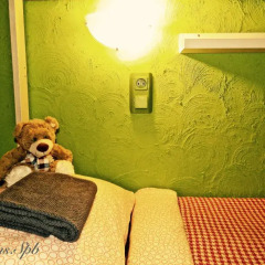 Гостиница Rooms.SPb с домашними животными