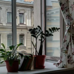 Мир Хостел Стандартный номер разные типы кроватей фото 21