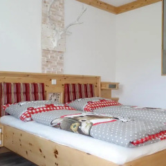 Отель Tischlmühle Appartements & mehr Студия с различными типами кроватей фото 16