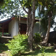 Отель Jungle Paradise Back House Шри-Ланка, Хиккадува - отзывы, цены и фото номеров - забронировать отель Jungle Paradise Back House онлайн спа