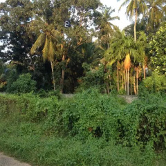 Отель Negombo Residence