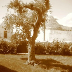 Отель La Trullesa Holiday Альберобелло фото 6