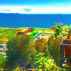 Deniz Houses Турция, Стамбул - - забронировать отель Deniz Houses, цены и фото номеров бассейн фото 2